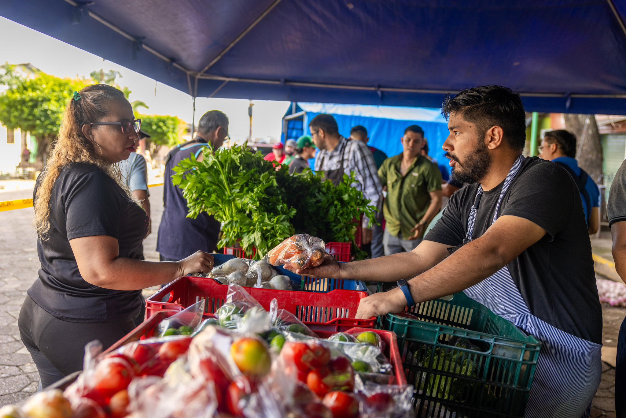 red-de-agromercados-cuenta-con-24-puntos-de-venta-a-nivel-nacional